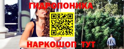 амф Аргун