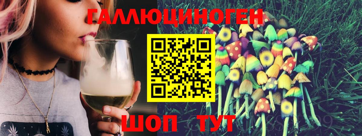 Галлюциногенные грибы Psilocybine cubensis Ачинск