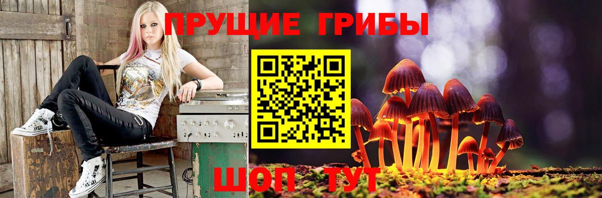 Псилоцибиновые грибы Psilocybine cubensis  Вход с VPN  Ачинск 